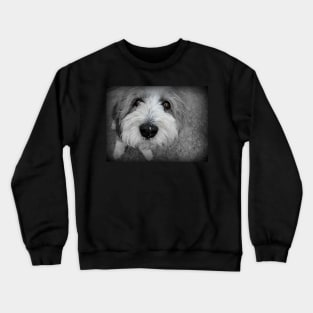 Does I Nose You? Crewneck Sweatshirt